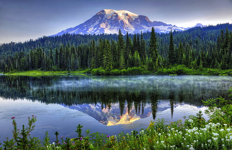 Mount Rainier NP, forest, glacier, wildflower, Rainier, bonito, lake, mountain, tranquil, serenity, national park, reflection, HD wallpaper