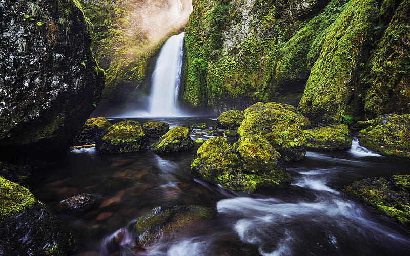 Forest Waterfall Landscape Green Long exposure, HD wallpaper
