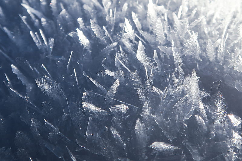 closeup of ice formation field, HD wallpaper