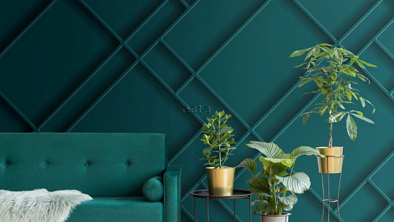 Dark Teal Couch Green Plants Teal Wall Background Teal, HD wallpaper