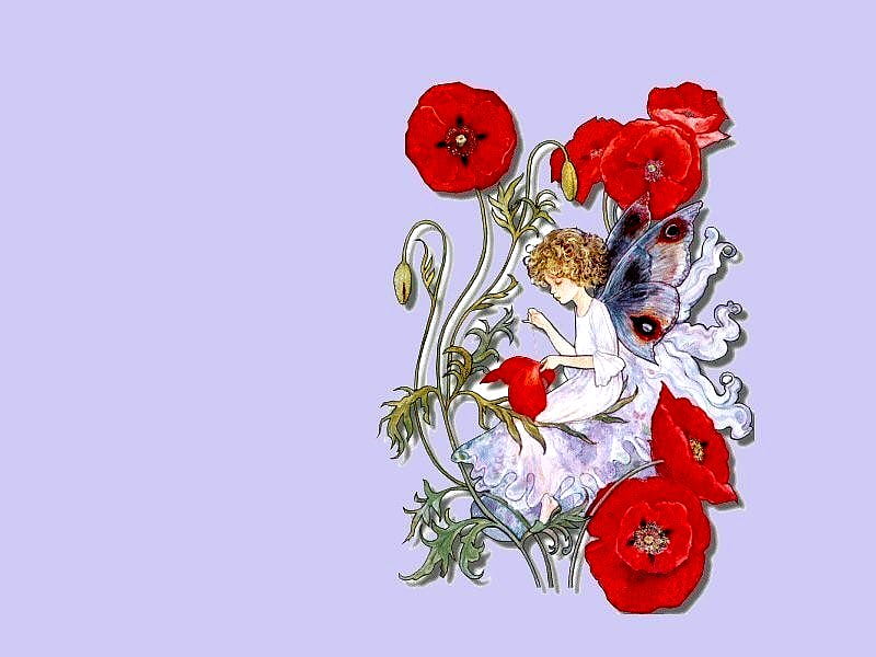 BUTTERFLY FAIRY, red, female, wings, butterfly, flowers, fairy, HD wallpaper