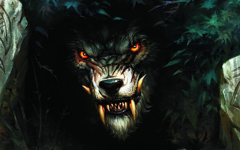 Angry Wolf, evil, fangs, wolf, anger, monster, eyes, stalk, HD wallpaper