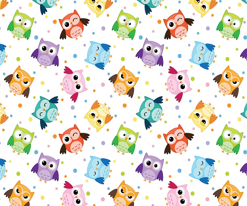 OWL, bird, cute, HD wallpaper