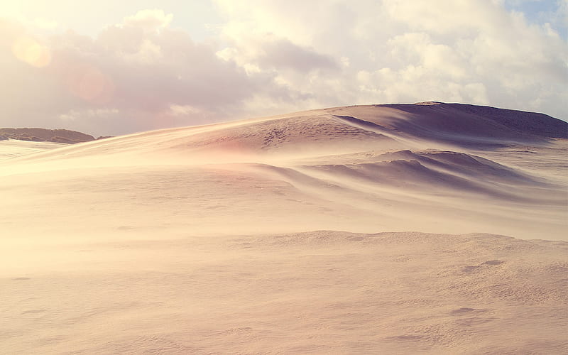 Desert Storm-Small fresh landscape, HD wallpaper