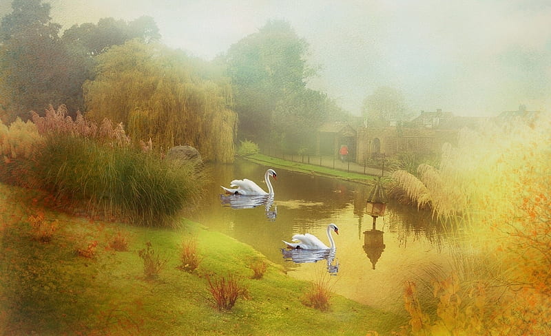 Fantasy landscape, Park, Pond, Swans, Art, HD wallpaper