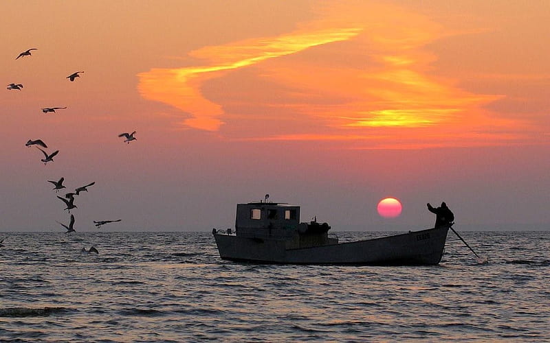Fisher Boat at Sunrise, fisher, boat, sunrise, Latvia, sea, gulls, HD wallpaper