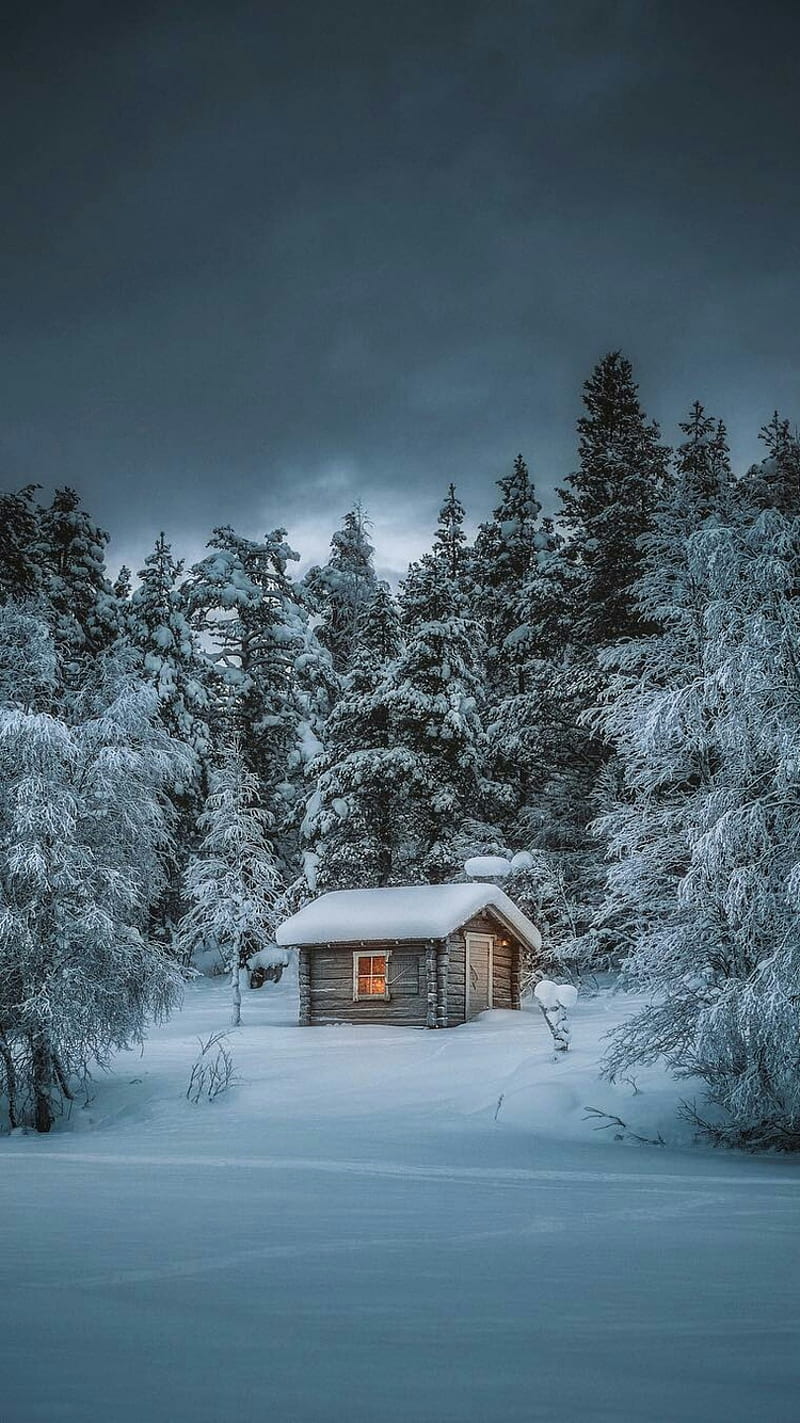 Winter House, cabin, forest, home, nature, HD phone wallpaper
