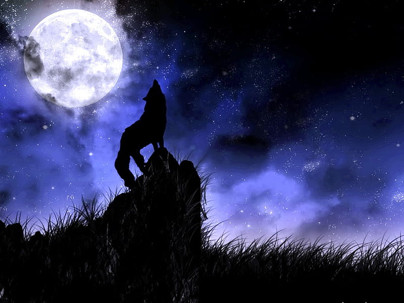 Wild in the blue, stars, moon, wolf, howl, sky, HD wallpaper