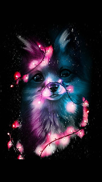 Fox, cute, bright, black, lights, HD phone wallpaper | Peakpx