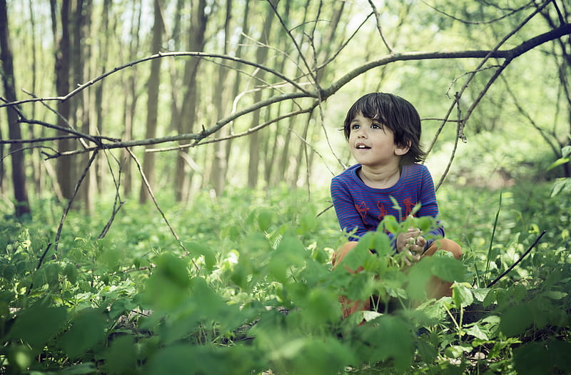 Cute Child Boy, Forest, Springtime Ultra, Cute, Nature, Spring, Green, Forest, Plants, Indian Outdoor, child, Handsome, caucasian, toddler, preschool, HD wallpaper