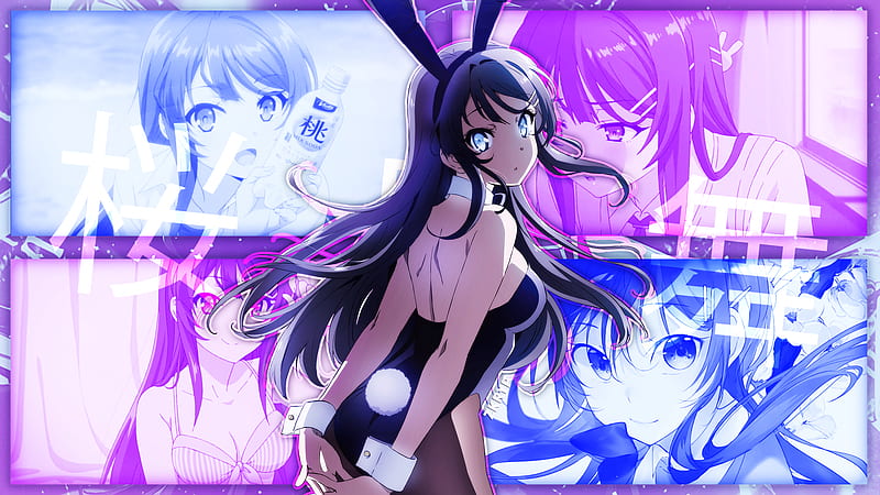 Anime, Seishun Buta Yarou wa Bunny Girl Senpai no Yume wo Minai, Bunny Ears, Girl, Mai Sakurajima, HD wallpaper