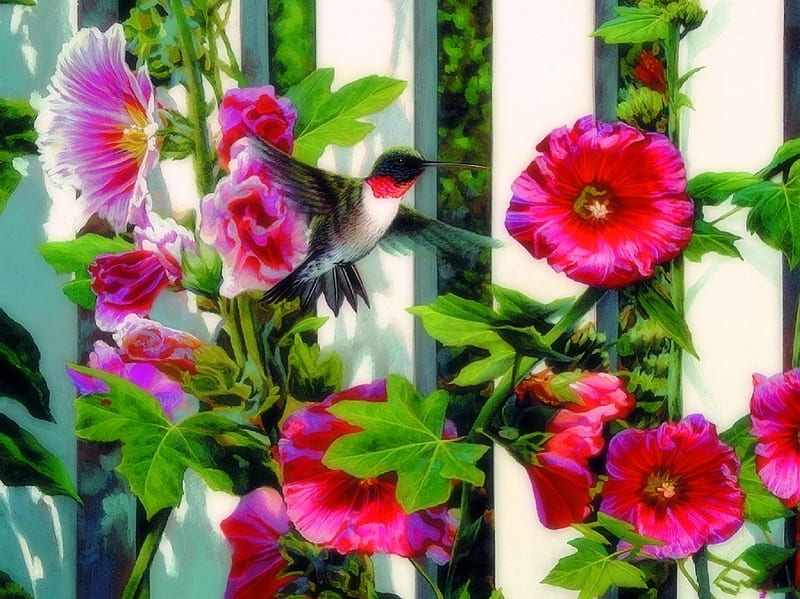 Hollyhocks, fence, love four seasons, spring, hummingbird, paintings, summer, flowers, garden, nature, animals, HD wallpaper