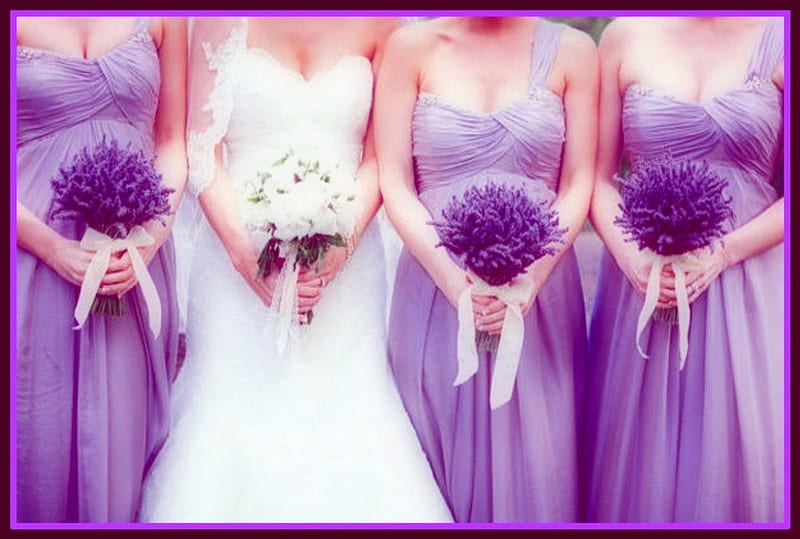 Lavender wedding, lavender, graphy, bridesmaids, wedding, HD wallpaper