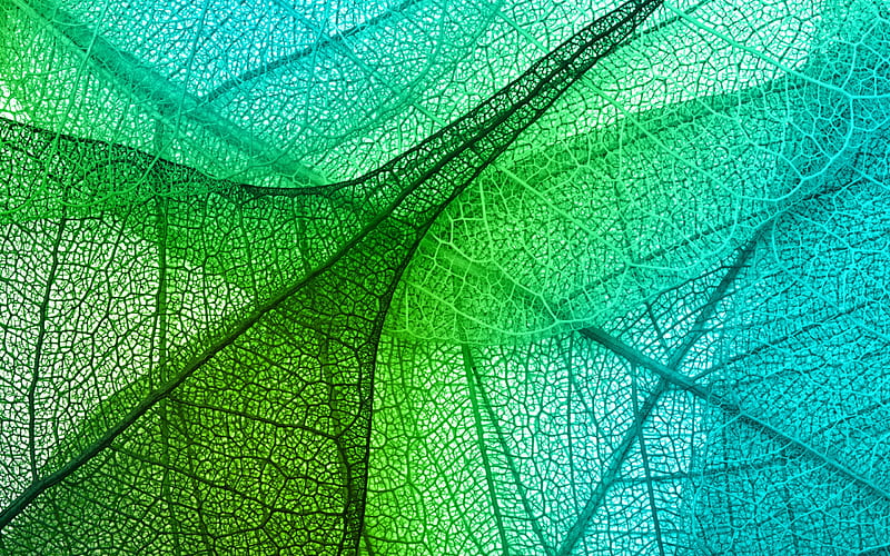 green 3d leaves texture, Creative 3D texture, sheet, blue green 3D art, HD wallpaper