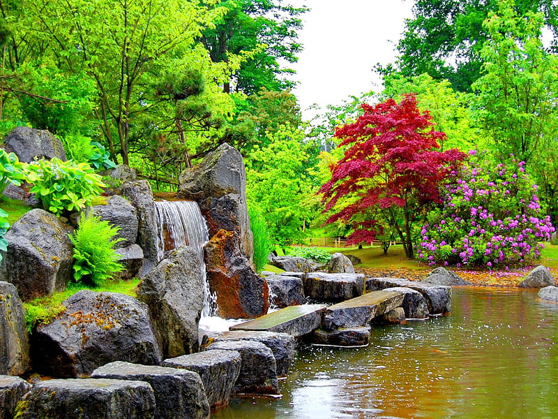 Beautiful park in summer, stream, rocks, pretty, bonito, bushes, leaves, cascades, nice, stones, green, reflection, lovely, greenery, spring, park, trees, water, summer, garden, nature, blooming, HD wallpaper