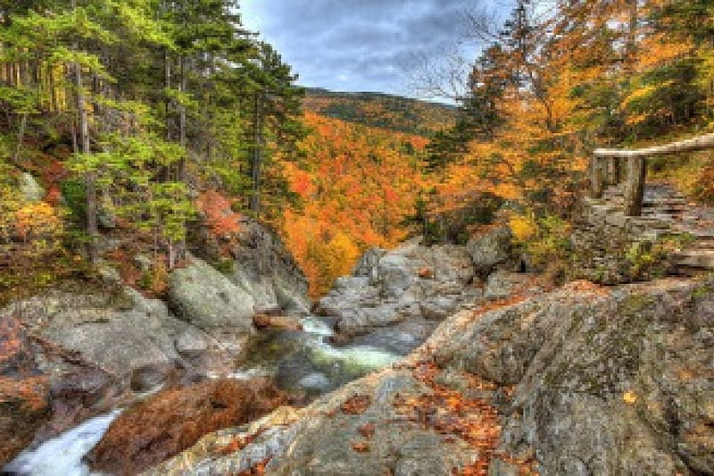 AUTUMN IN MOUNTAINS ***, AUTUMN, TREES, RIVER, NATURE, MOUNTAINS, HD ...