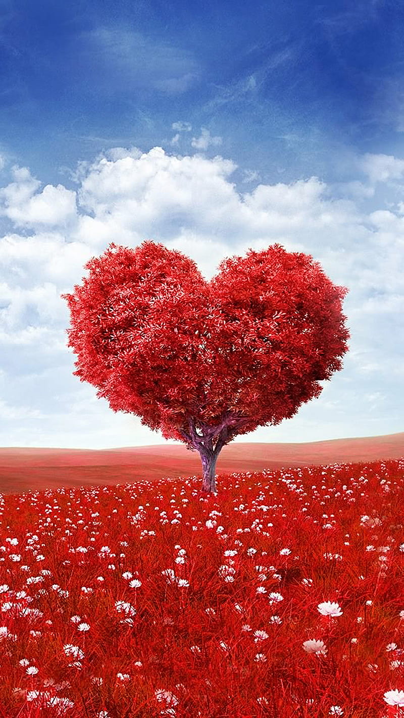 red heart tree, clouds, field, flowers, sky, HD phone wallpaper