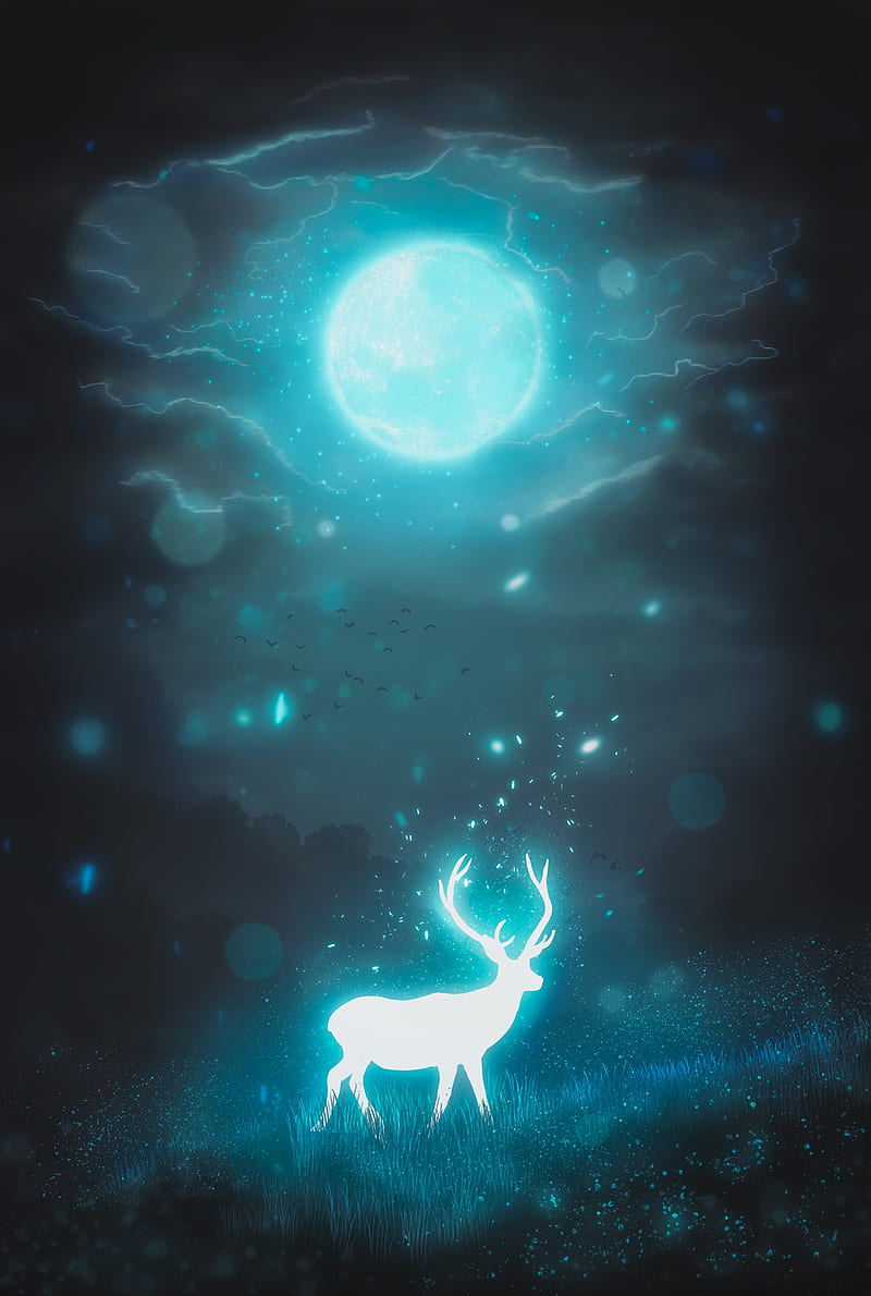 deer, night, moon, glow, glare, HD phone wallpaper