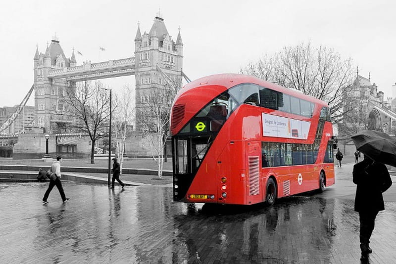London bus, red, city, graphy, London, black, white, bus, HD wallpaper