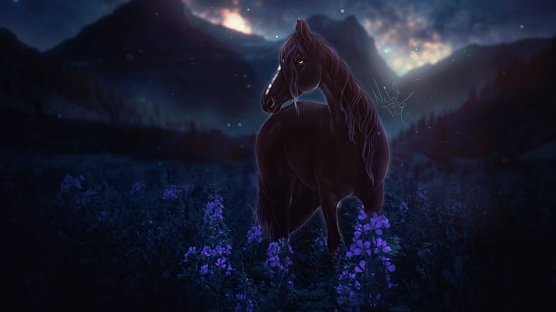 Horse Meadow Night Flowers , horse, artist, artwork, digital-art, deviantart, HD wallpaper