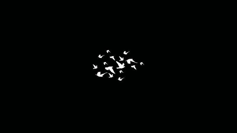 Birds Flying Minimalist Dark , birds, dark, minimalism, black, artist, HD wallpaper