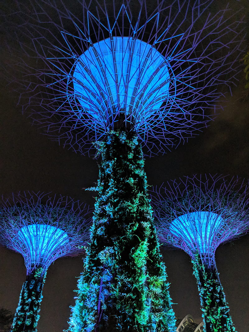 Gardens By The Bay, flowers, gardensbythebay, lights, singapore, HD phone wallpaper