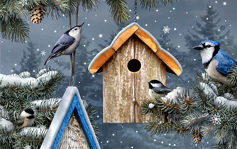 Winter Song- Birds F1C, bonito, illustration, artwork, animal, chickadees, painting, wide screen, art, songbirds, winter, nuthatch, bird, snow, avian, wildlife, blue jay, nature, HD wallpaper