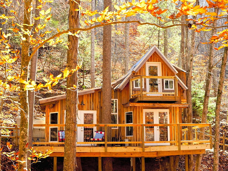 Best vacation rentals to see fall colors in the U.S, Fall Cabin, HD wallpaper