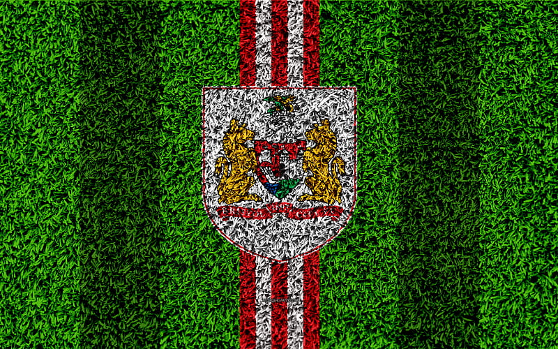 Bristol City FC football lawn, logo, emblem, English football club, red white lines, Football League Championship, grass texture, Bristol, UK, England, football, HD wallpaper