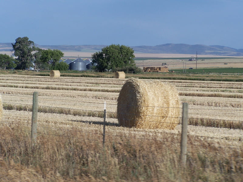 Hay Bales in open field, Ririe, Idaho, Farms, Sky, Grasslands, Nature, HD wallpaper