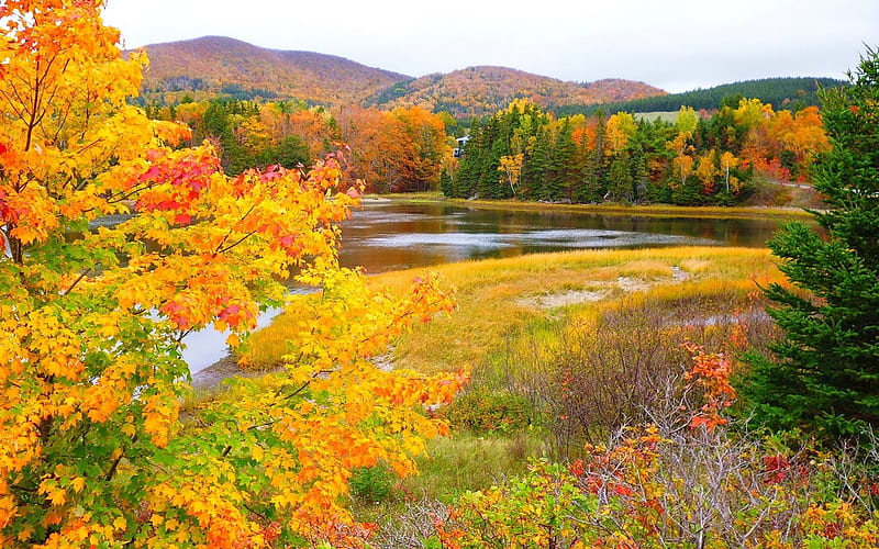 LAKE, COLORS, AUTUIMN, TREES, NATURE, HD wallpaper | Peakpx