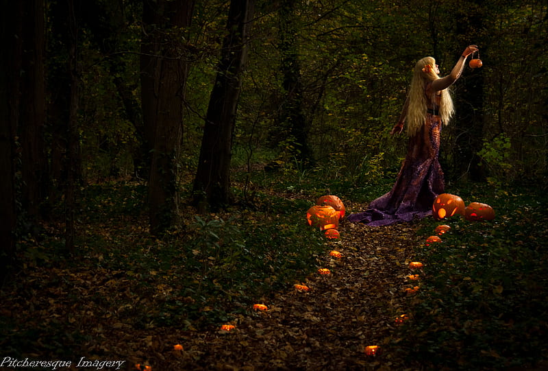 Halloween path, orange, girl, model, lantern, halloween, pumpkin, black, forest, dark, night, HD wallpaper