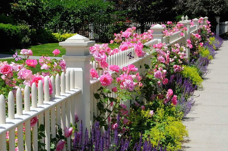 Pink Snapdragons And Ornamental Fence Posts, Pink, Fence, Snapdragons, Orngamental, Post, HD wallpaper