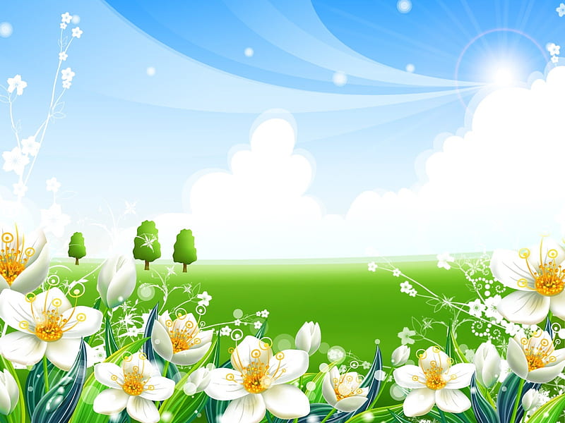 Blue and green summer, Meadow, Sunset, Sun, Sin, Spring, Flowers, HD wallpaper