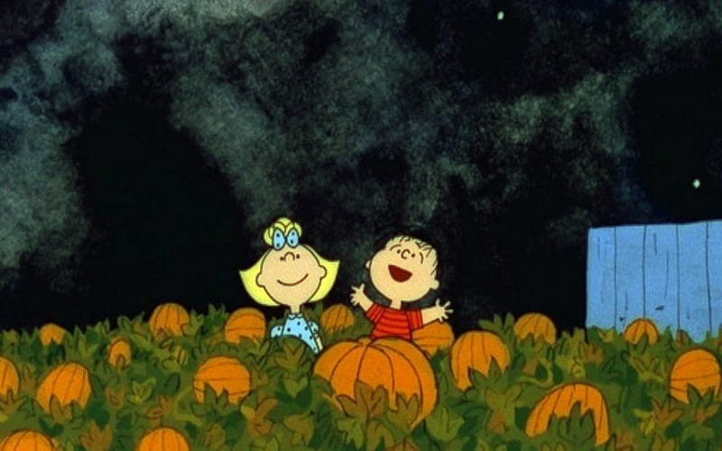 Happy Halloween To Nexus Family, Charlie Brown, movie, Pumpkins, The Great Pumpkin, Fence, Sally, Patch, Linus, Dark Sky, HD wallpaper