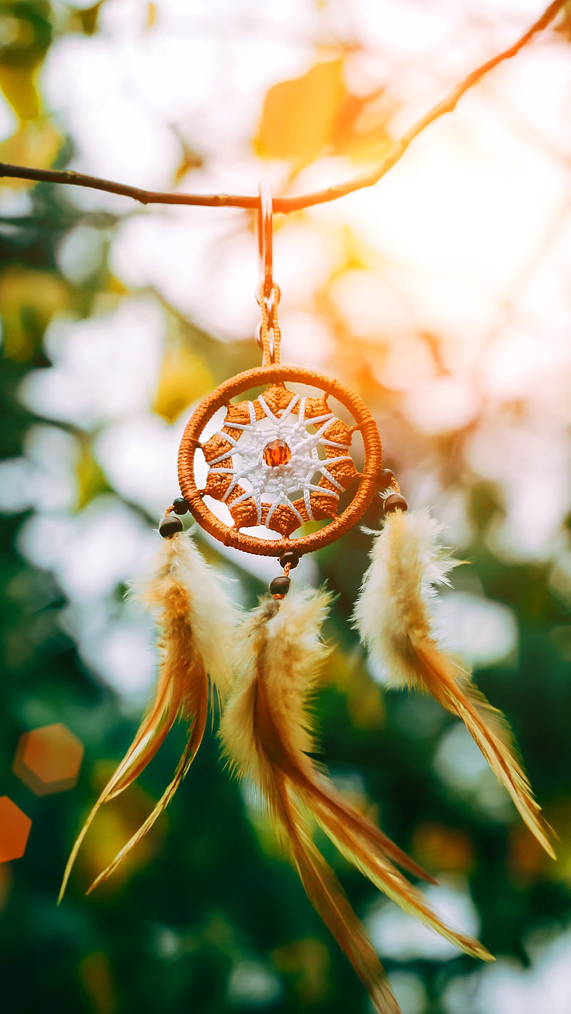 Garden dreamcatcher, Lui, amazing, bonito, calm, catch dreams, colorful, daydream, dreamcatcer, dreamer, dreaming, dreams, earth, garden dreamactcher, great, green, nature, phtography, safe, sweet dreams, symbolic, view, vivid, window, yellow, HD phone wallpaper