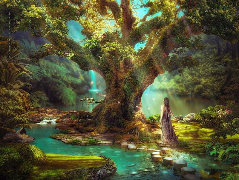 art, fantasy, lady, old tree, HD wallpaper