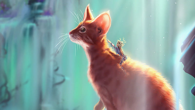 Cat Rider , cat, artist, artwork, digital-art, artstation, HD wallpaper