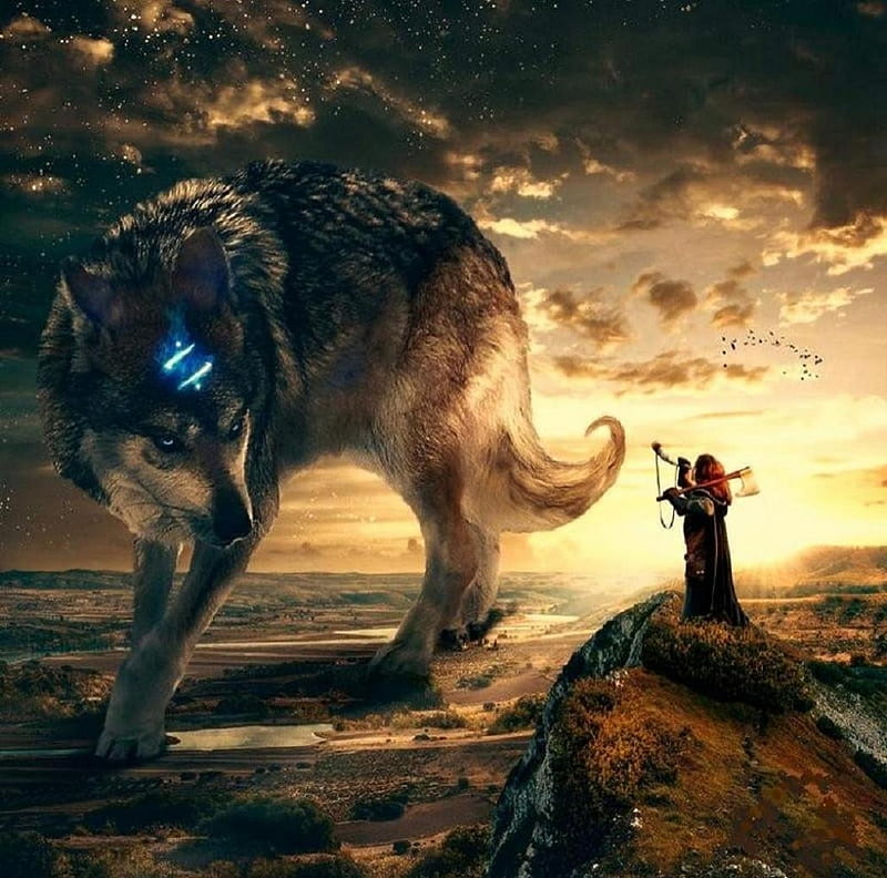 'The return of the legendary wolf'...., mystical, wolf, legendary, animals, HD wallpaper