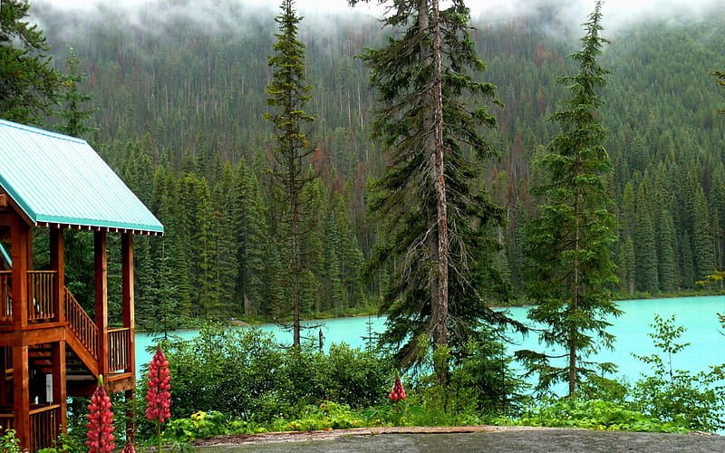 Beautiful Wilderness Retreat, wilderness, national parks, nature, forests, canada, HD wallpaper
