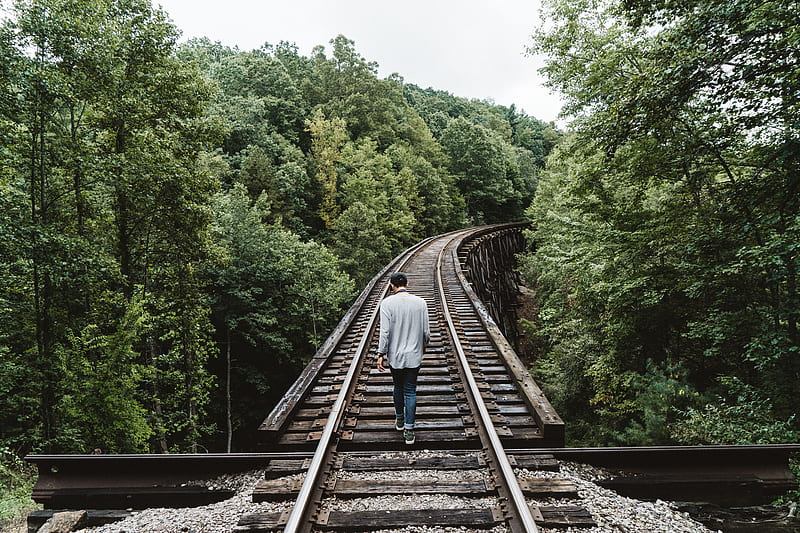 man standing on railway surrounded by trees, HD wallpaper