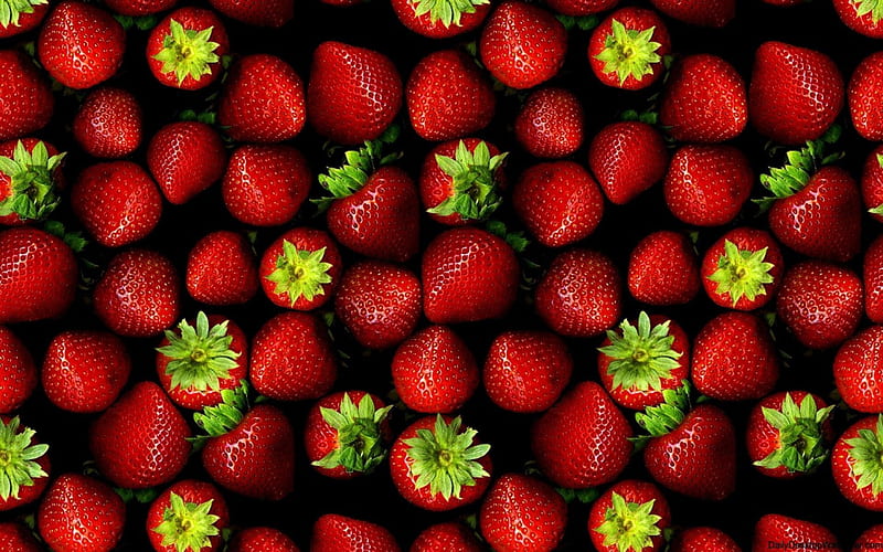 Strawberry, red, garden, plant, HD wallpaper