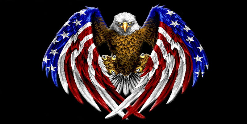 American Bald Eagle~dom, wings, talons, bald eagle, American Flag, eagle, dom, American Bald Eagle, flag, HD wallpaper