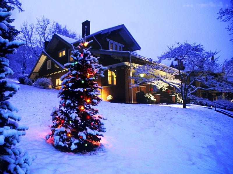 Christmas Time, tree, snow, cottage, colors, lights, HD wallpaper Christmas Time, tree, snow, cottage, colors, lights, HD wallpaper