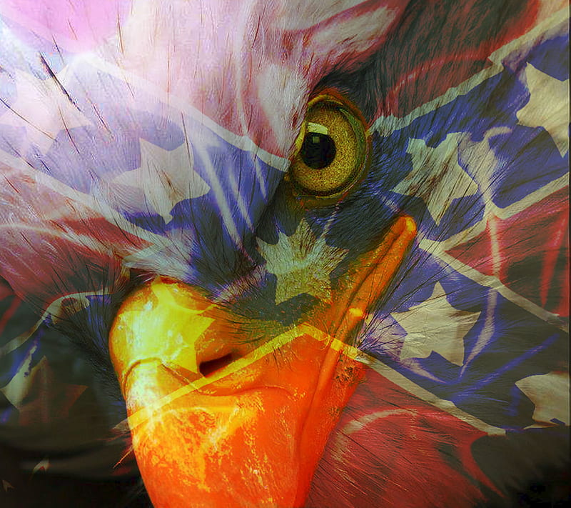 southern eagle, flag, saguaro, HD wallpaper