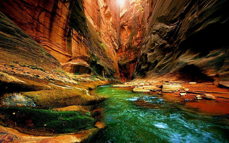 green river in a narrow red canyon, red, cliffs, moss, river, canyon, HD wallpaper