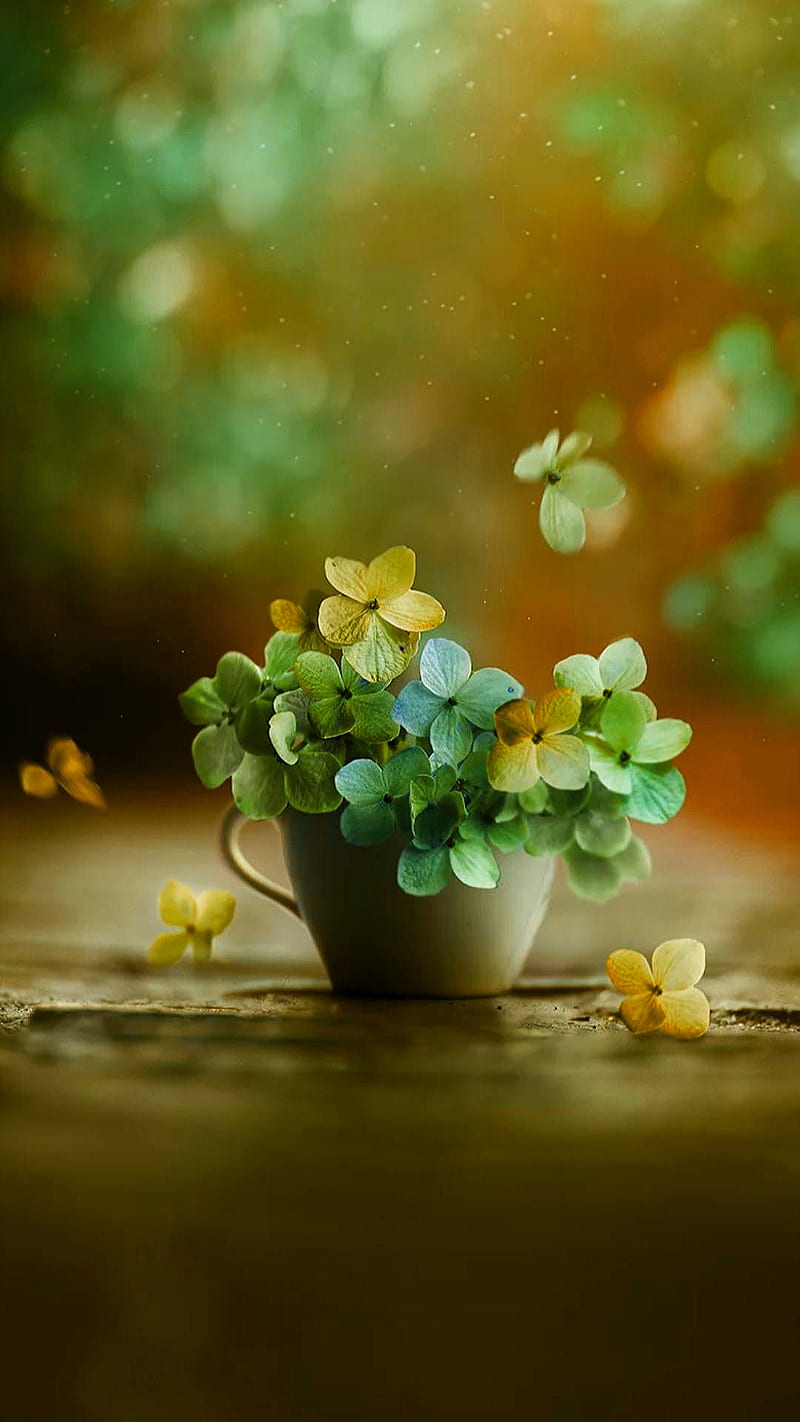 Flowers in vase, bouquet, flower, green nature, yellow, HD phone wallpaper