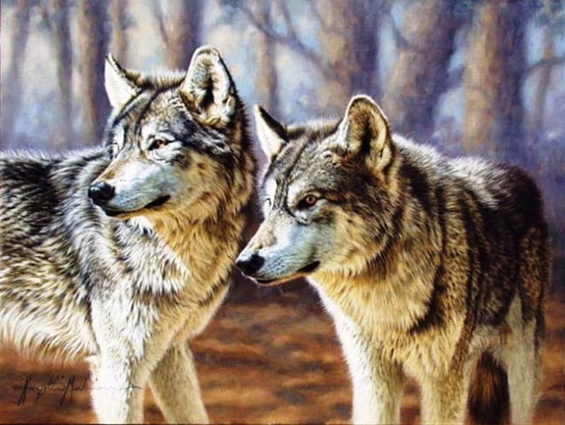 For my friend Jerry ( chef1ne ), art, nature, wolf, wolves, animals, friends, HD wallpaper