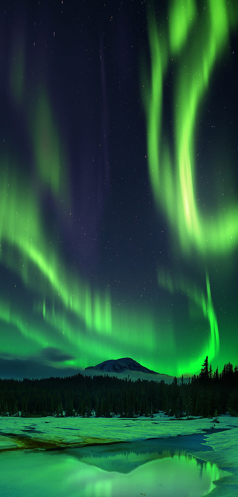 Aurora Borealis, light, nightsky, north, northern, sky, HD phone wallpaper  | Peakpx
