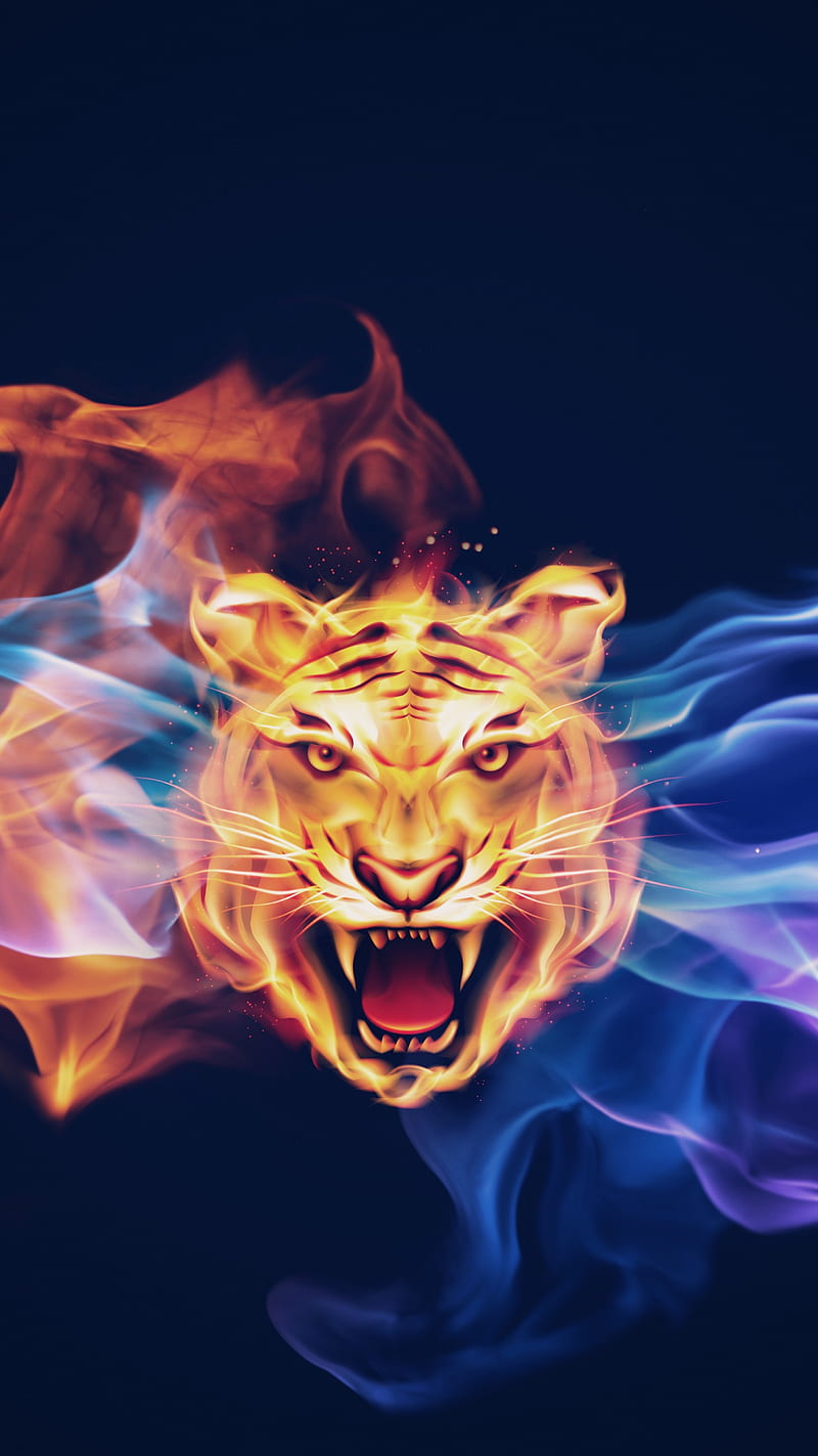 Fire Tiger, HD phone wallpaper